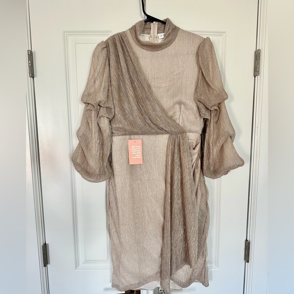Ivy City Co Dress